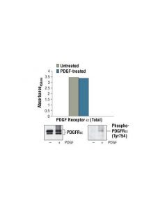 Cell Signaling Pathscan® Total Pdgf Receptor Alpha Sandwich Elisa Kit