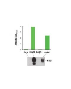 Cell Signaling Pathscan Total Cd31 (Pecam-1) Sandwich Elisa Kit