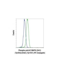 Cell Signaling Phospho-P44/42 Mapk (Erk1) (Tyr204)/(Erk2) (Tyr187) (D1h6g) Mouse mAb (Pe Conjugate)