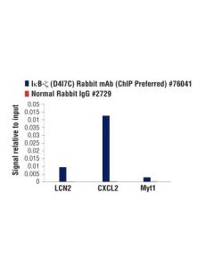 Cell Signaling Ikappab-Zeta (D4i7c) Rabbit mAb (Chip Preferred)