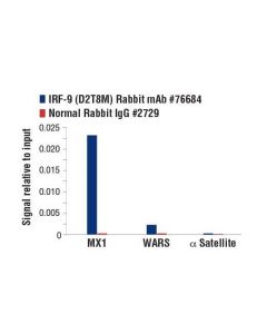 Cell Signaling Irf-9 (D2t8m) Rabbit mAb