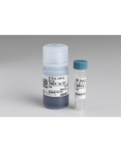 Cell Signaling Blue Loading Buffer Pack