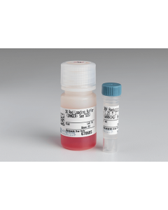 Cell Signaling Red Loading Buffer Pack