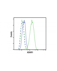 Cell Signaling Adar1 (E6x9r) Xp Rabbit mAb