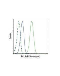 Cell Signaling Bcl6 (D4i2v) Xp  Rabbit mAb (Pe Conjugate)