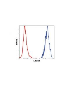 Cell Signaling Lin28a (D1a1a) Xp Rabbit mAb