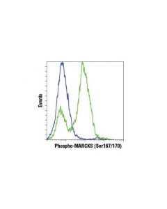 Cell Signaling Phospho-Marcks (Ser167/170) (D13e4) Xp Rabbit mAb
