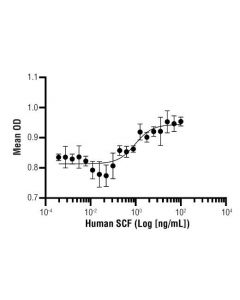 Cell Signaling Human Scf Recombinant Protein