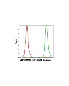 Cell Signaling P44/42 Mapk (Erk1/2) (137f5) Rabbit mAb (Pe Conjugate)