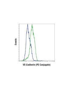 Cell Signaling Ve-Cadherin (D87f2) Xp Rabbit mAb (Pe Conjugate)
