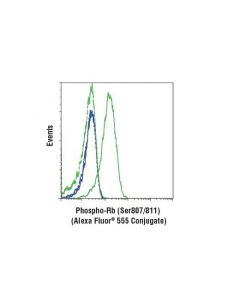 Cell Signaling Phospho-Rb (Ser807/811) (D20b12) Xp Rabbit mAb (Alexa Fluor 555 Conjugate)