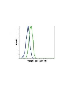 Cell Signaling Phospho-Bad Antibody Sampler Kit