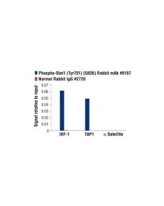 Cell Signaling Phospho-Stat1 (Tyr701) (58d6) Rabbit mAb