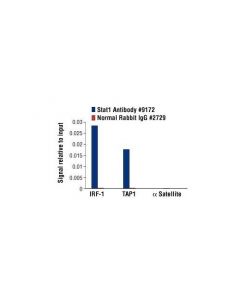 Cell Signaling Stat1 Antibody