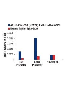 Cell Signaling Actl6a/Baf53a (E3w2a) Rabbit mAb