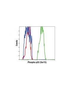 Cell Signaling Phospho-P53 (Ser15) (16g8) Mouse mAb