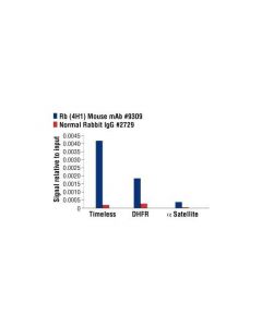 Cell Signaling Rb (4h1) Mouse mAb