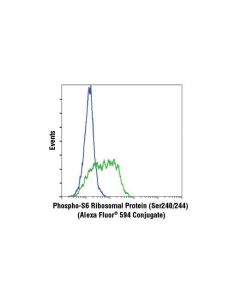 Cell Signaling Phospho-S6 Ribosomal Protein (Ser240/244) (D68f8) Xp Rabbit mAb (Alexa Fluor 594 Conjugate)