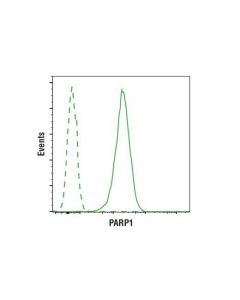 Cell Signaling Parp (46d11) Rabbit mAb