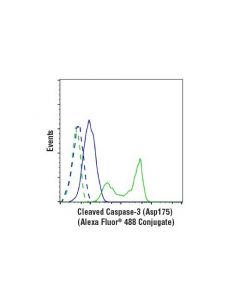 Cell Signaling Cleaved Caspase-3 (Asp175) (D3e9) Rabbit mAb (Alexa Fluor<Lt/>Sup&Gt;®<Lt/>/Sup&Gt; 488 Conjugate)