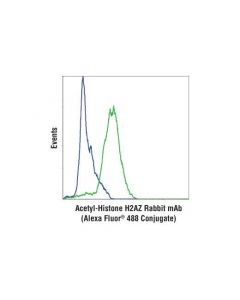 Cell Signaling Acetyl-Histone H2az (Lys4/Lys7) (D3v1i) Rabbit mAb (Alexa Fluor 488 Conjugate)