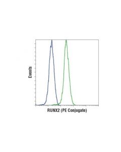 Cell Signaling Runx2 (D1l7f) Rabbit mAb (Pe Conjugate)