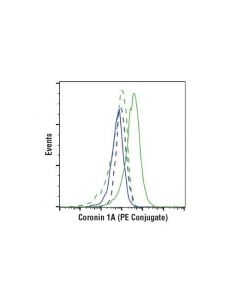 Cell Signaling Coronin 1a (D6k5b) Xp Rabbit mAb (Pe Conjugate)
