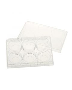 Celltreat 6 Well Glass Bottom Tissue Culture Plate, 20mm Glass, Sterile