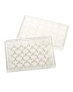 Celltreat 24 Well Glass Bottom Tissue Culture Plate, 10mm Glass, Sterile