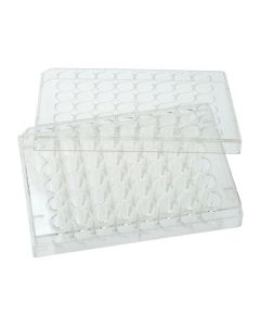 Celltreat 48 Well Tissue Culture Plate W/Lid, Individ