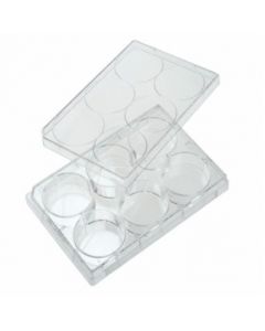 Celltreat Multiple Well Plate With Lid, 6-Well Polystyren