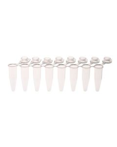Celltreat PCR 8-Strip Tubes, 0.2mL, Separable, Attached Flat Caps, Clear