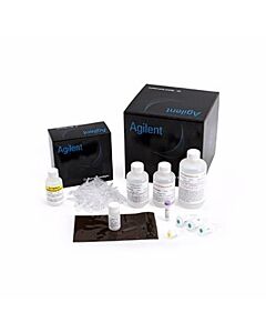 Agilent Technologies Hs RNA Kit (15nt), 500