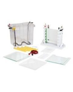 Labnet Enduro Ve20 Vertical Gel System Includes 2 Sets Of Glass Plates, 1 Mm Thick Bonder Spacers, 2 X 24 Well 1 Mm