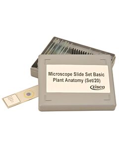 Eisco Labs Plant Anatomy Microscope Slide Set - 20 Slides In Plastic Storage Box