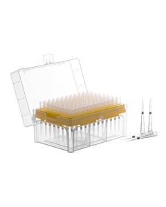 Eisco Labs Racked Filter Tips, 20µl - 96 Tips - Graduated - Hydrophobic, Polyethylene Filtered Tips - Sterile, Autoclavable - Eisco Labs
