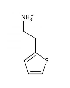Alfa Aesar 2Thiopheneethylamine, 98%