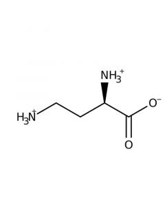 Alfa Aesar DL2,4Diaminobutyric acid dihydrochloride, 99%
