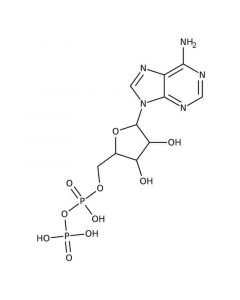 Alfa Aesar Adenosine5diphosphate monopotassium salt dihydrate, 99%
