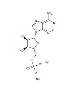 Alfa Aesar Adenosine5monophosphate disodium salt, Quantity: 25g,