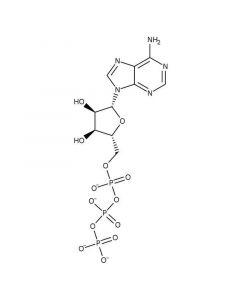 Acros Organics Adenosine 5-triphosphate, disodium salt hydrate 98%