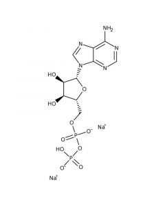 Acros Organics Adenosine 5-diphosphate, disodium salt hydrate 98%