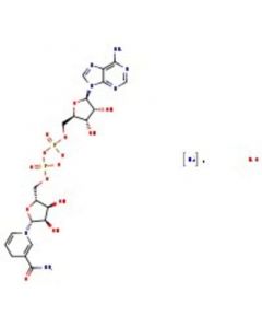 Acros Organics betaNicotinamide adenine dinucleotide, d