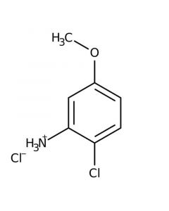 TCI America 2Chloro5methoxyaniline Hydrochloride, >98.0%