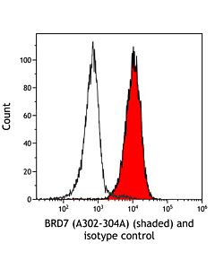 Bethyl Laboratories, a Fortis LS Co. Rabbit Anti-Brd7 Antibody, Affinity Purified, Host: Rabbit, 10 µl (1000 µg/ml)