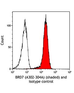 Bethyl Laboratories, a Fortis LS Co. Rabbit Anti-Brd7 Antibody, Affinity Purified, Host: Rabbit, 100 µl (1000 µg/ml)