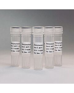 Empirical Bioscience uLtrapure Deoxynucleotide Solution Set, 100mm Each (4 X 1ml)
