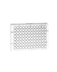 Greiner Bio-One Cell Culture Microplate, 96 Well, Ps, U-Bottom, Clear, Cellstar® Tc, Sterile, Single Packed