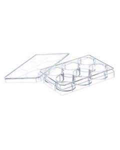 Greiner Bio-One Multiwell Plate For Suspension Culture, 6 Well, Ps, Clear, Lid With Condensation Rings, Sterile, Single Packed