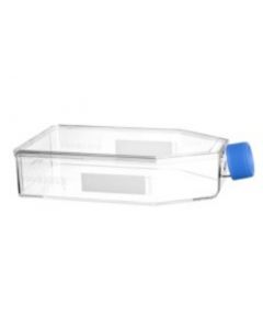 Greiner Bio-One Cell Culture Flask, 650 Ml, 175 Cm², Ps, Advanced Tc, Blue Filter Screw Cap, Clear, High Flask Design, Sterile, 4 Pcs./Bag